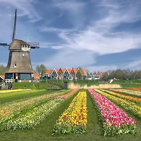 Casandra Oda ve Kahvaltı Volendam