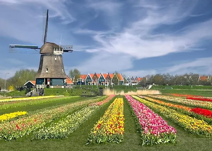 Casandra Bed and breakfast Volendam